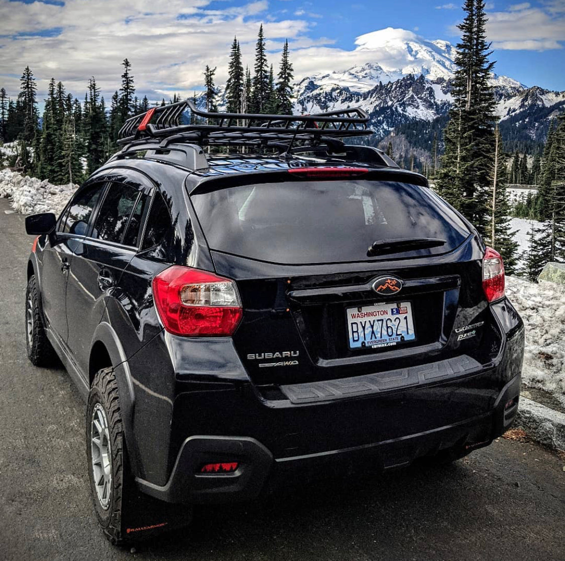 Forest Rear Reflector Overlays
