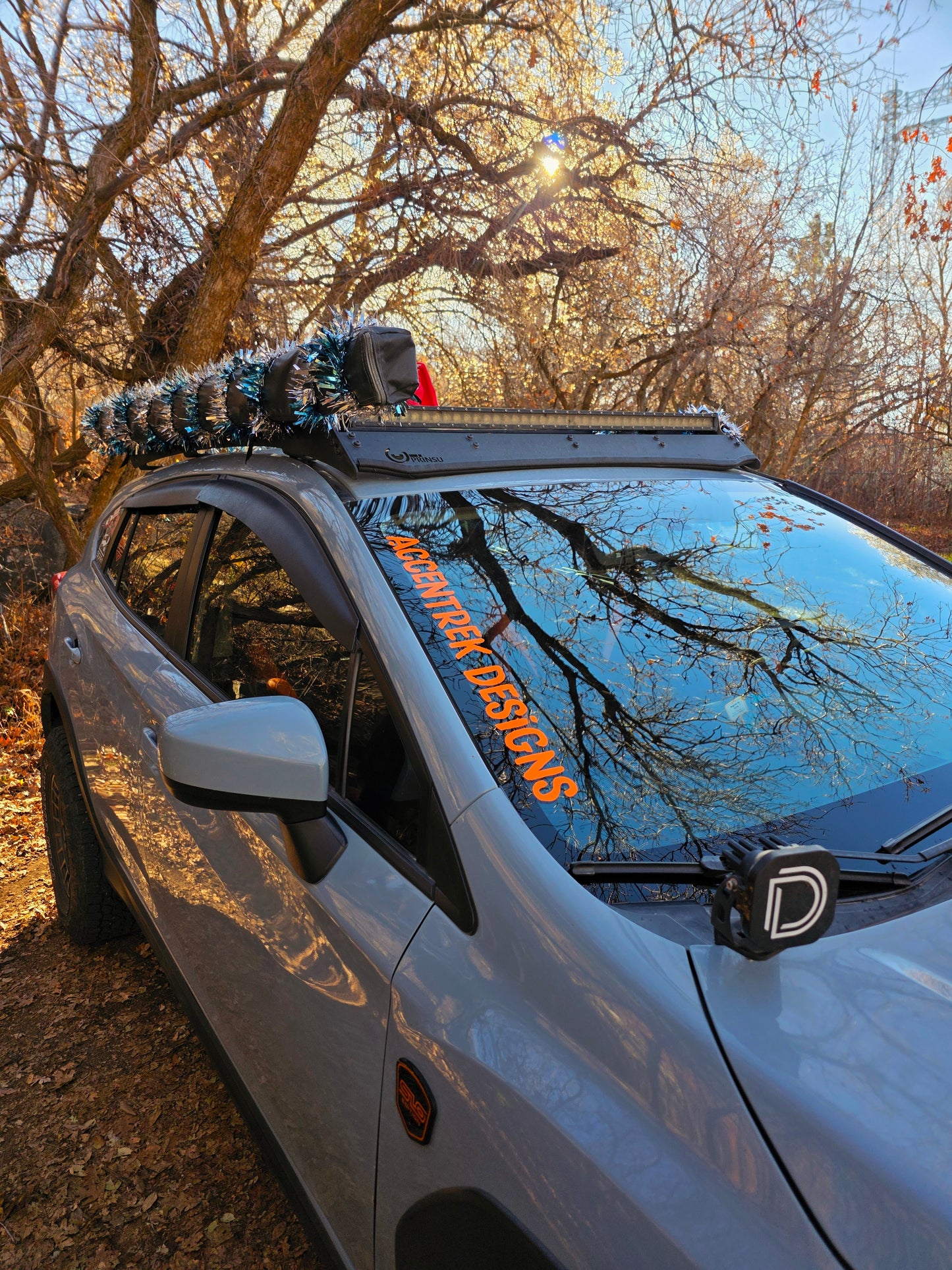 Accentrek Designs Windshield Banner