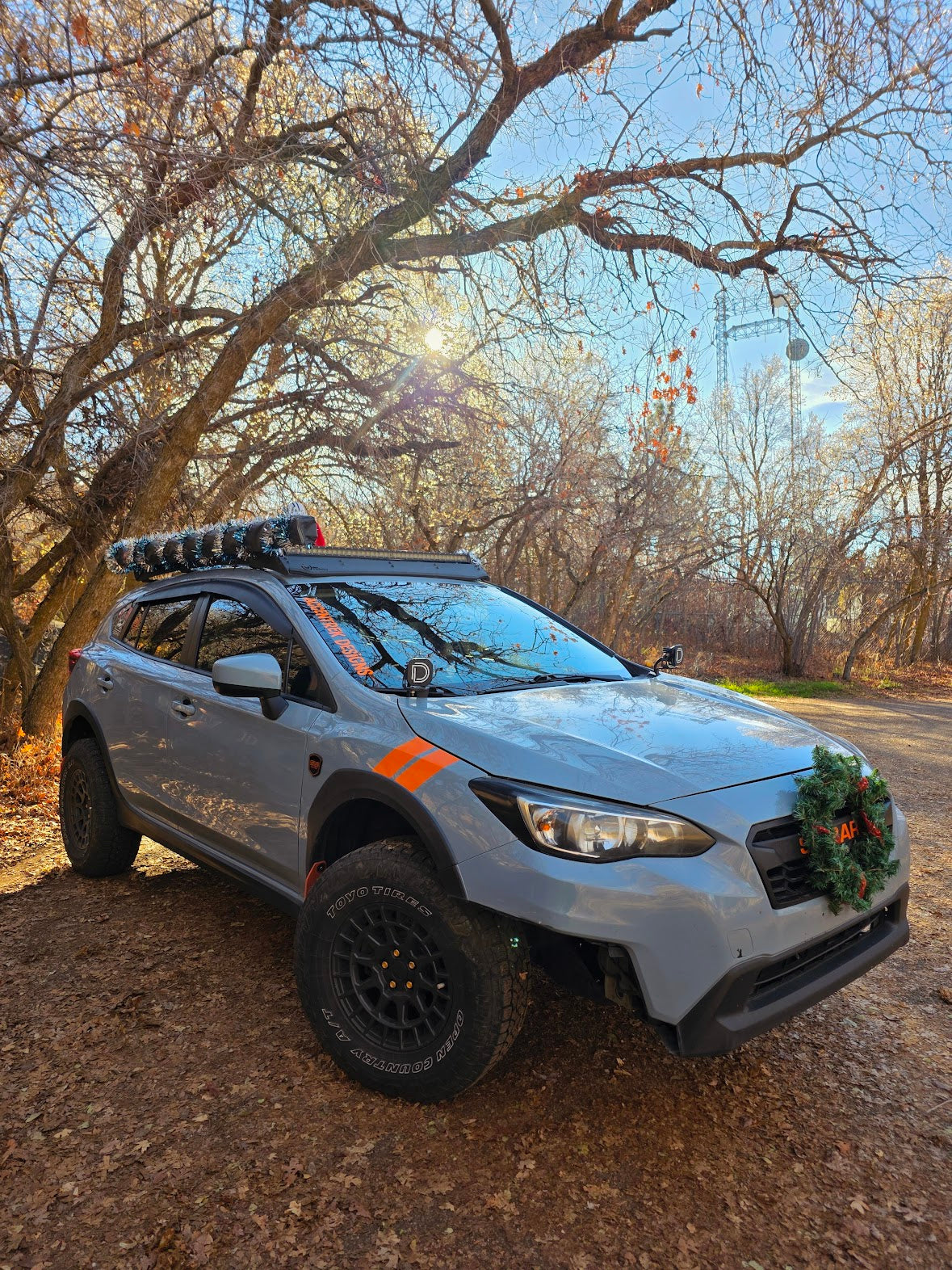 Accentrek Designs Windshield Banner